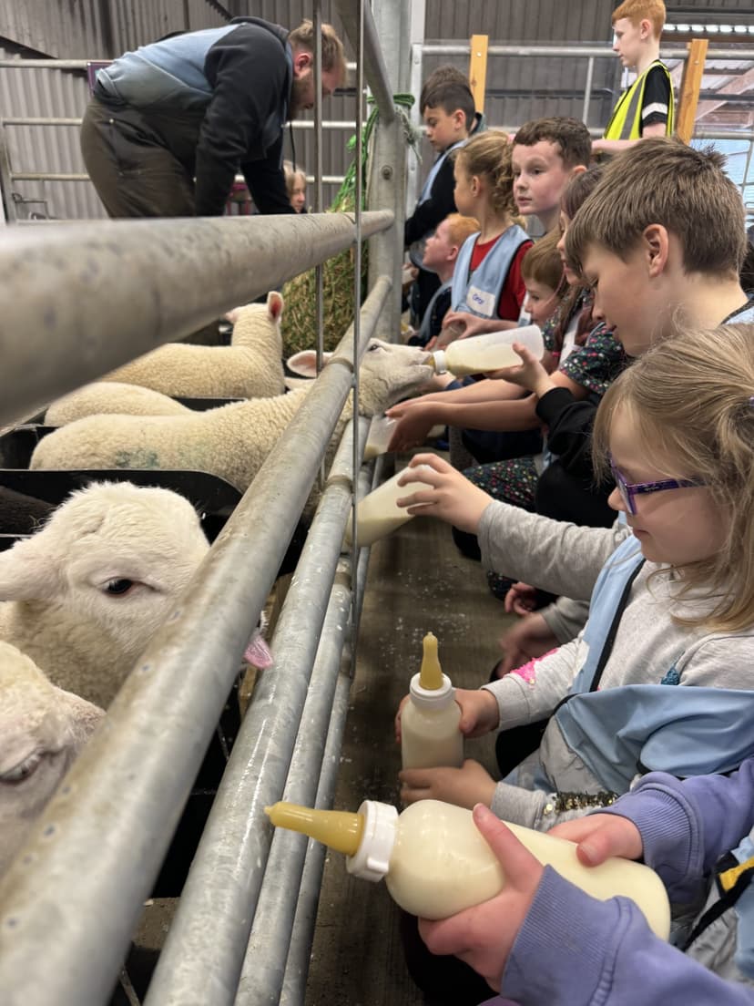 Farm activities